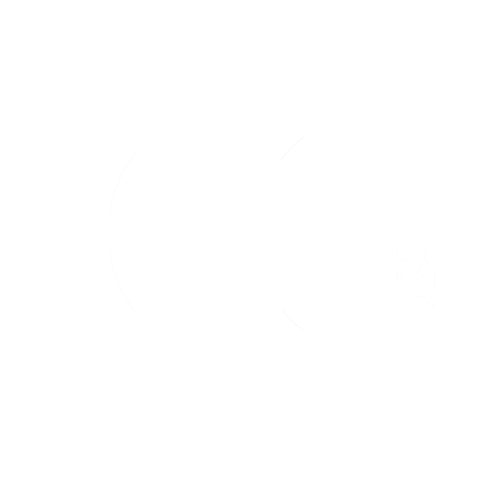 Junior Consulting Grenoble